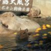 伊豆ぐらんぱる公園とシャボテン公園どっちがいい？違いや魅力を解説